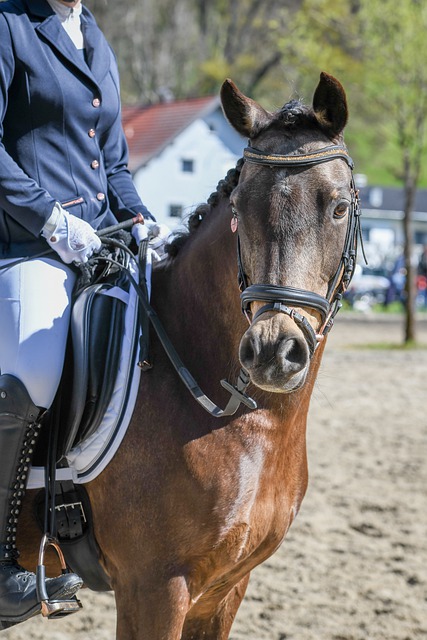 梅赛德斯车 梅赛德斯车