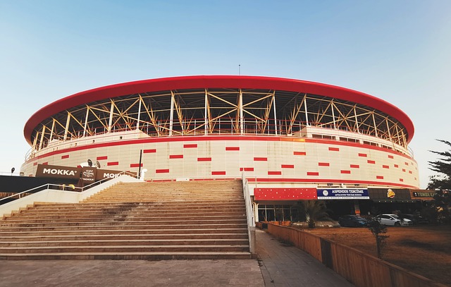 了一个引人 了一个引人