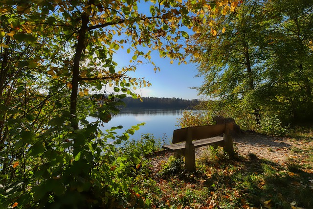 无疑是当代 无疑是当代