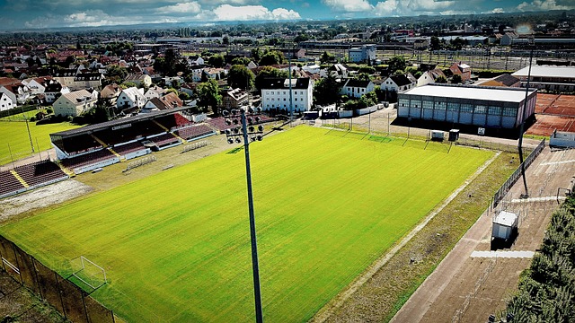 逆境中的勇 逆境中的勇