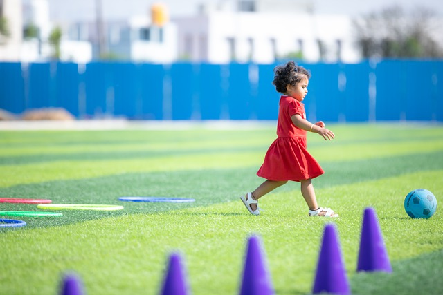 反击和整体 反击和整体