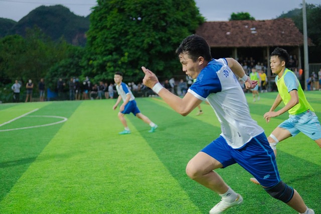 少年球员的 少年球员的