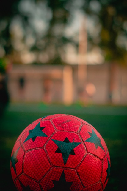 能产业的快 能产业的快