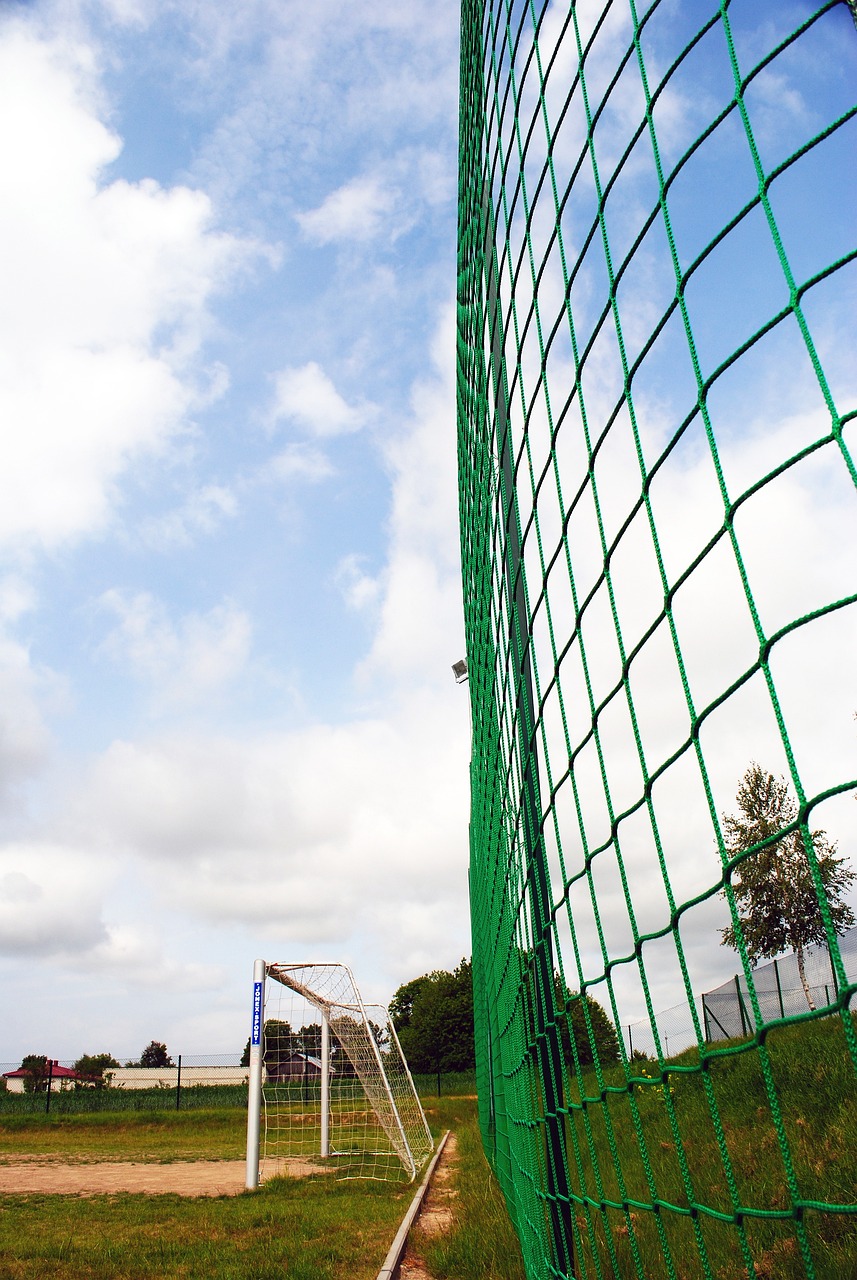 下文将探讨 下文将探讨