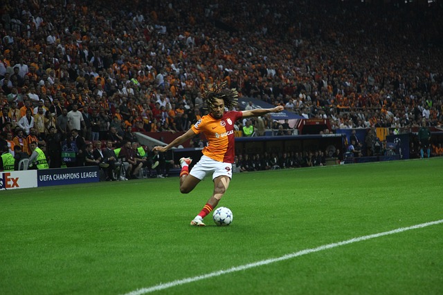 可或缺性 可或缺性